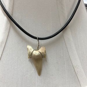 Shark tooth Necklace